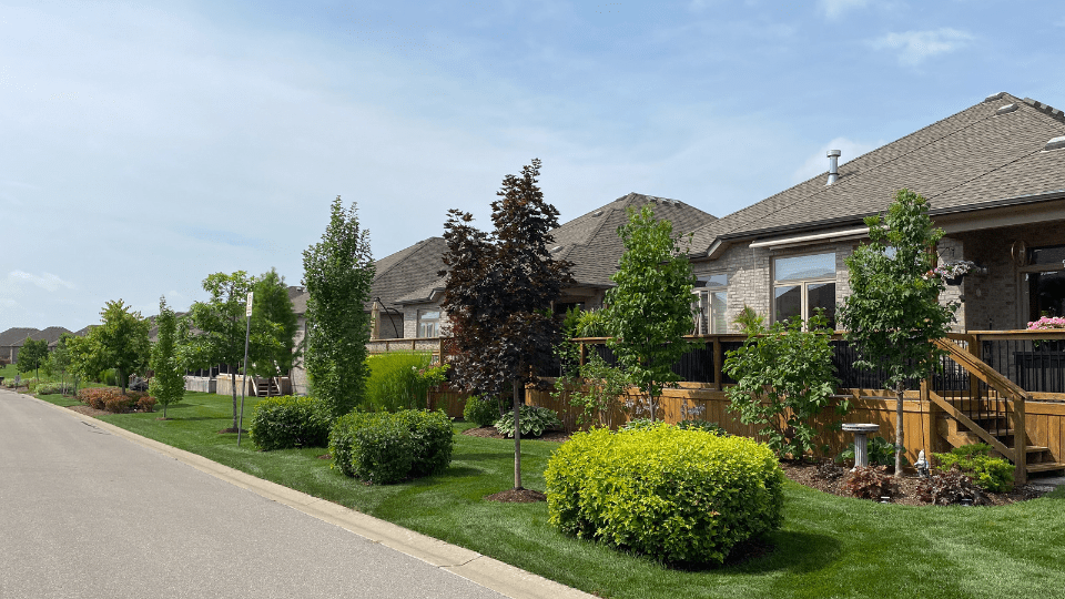 4 Ideas to Elevate Your Condo's Backyard Landscaping